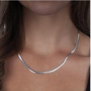 Cadena Snake Plateada