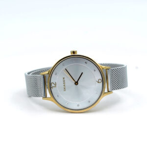 Reloj Skagen SKW2340 para Dama