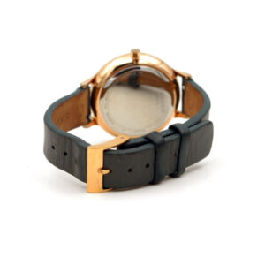 Reloj Skagen Anita para Dama